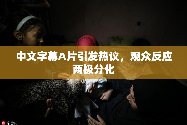中文字幕A片引发热议，观众反应两极分化