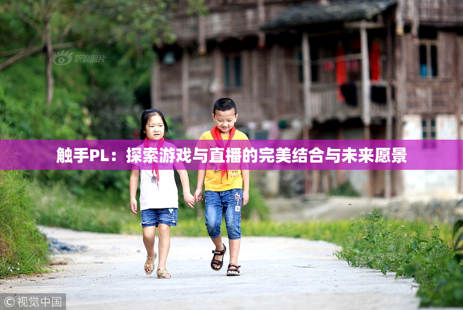 触手PL：探索游戏与直播的完美结合与未来愿景