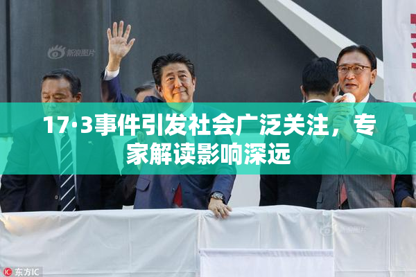 17·3事件引发社会广泛关注，专家解读影响深远