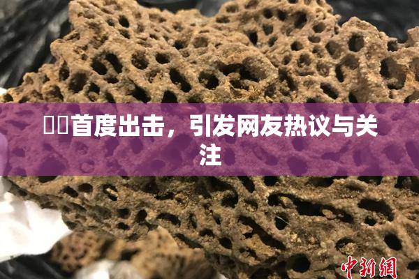妺妺首度出击，引发网友热议与关注