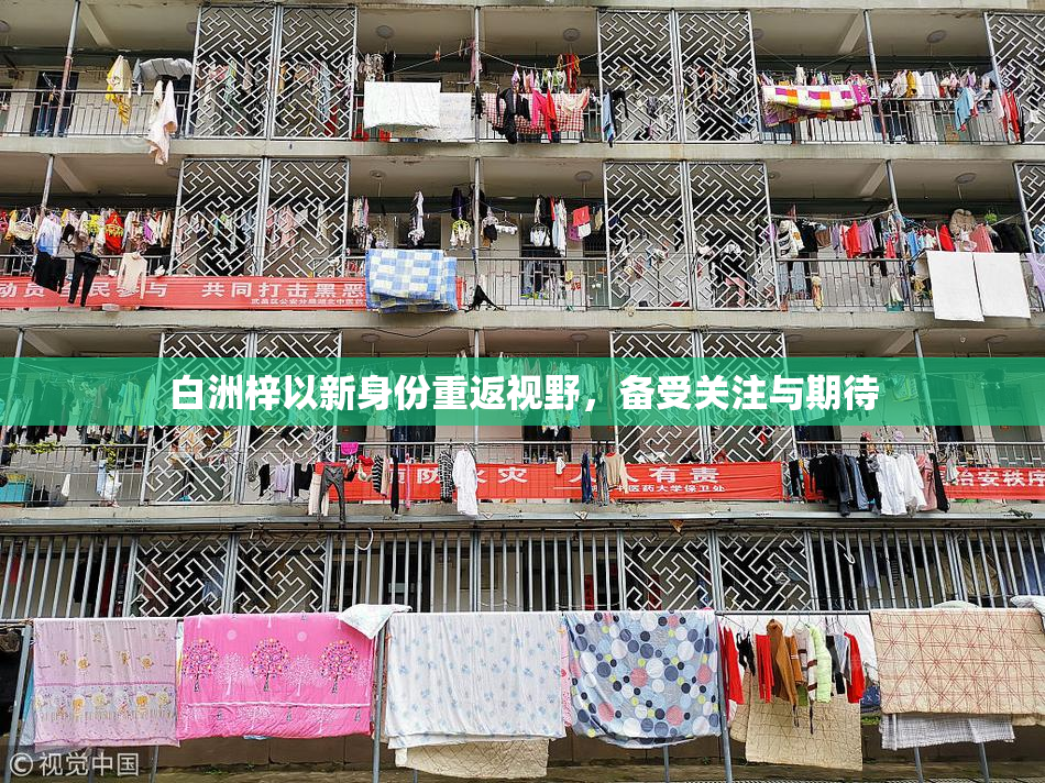白洲梓以新身份重返视野，备受关注与期待