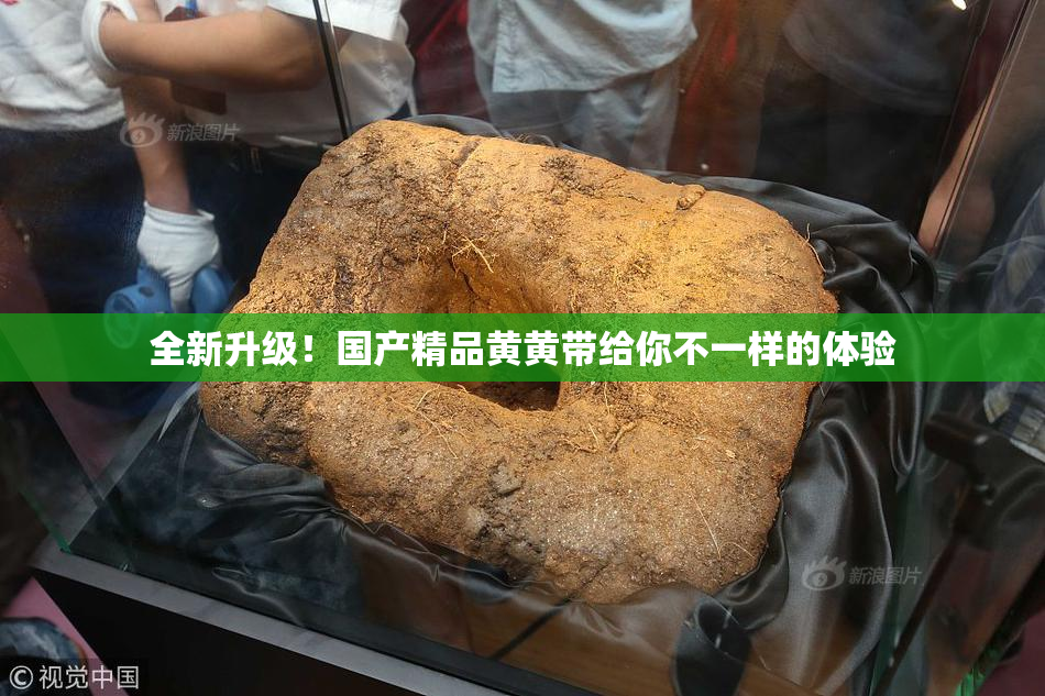 全新升级！国产精品黄黄带给你不一样的体验