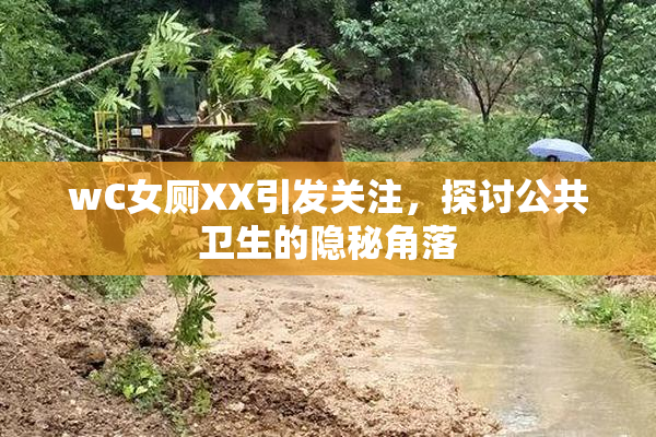 wC女厕XX引发关注，探讨公共卫生的隐秘角落