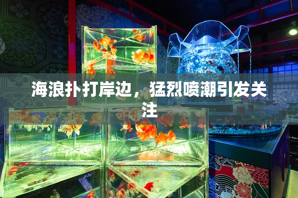 海浪扑打岸边，猛烈喷潮引发关注