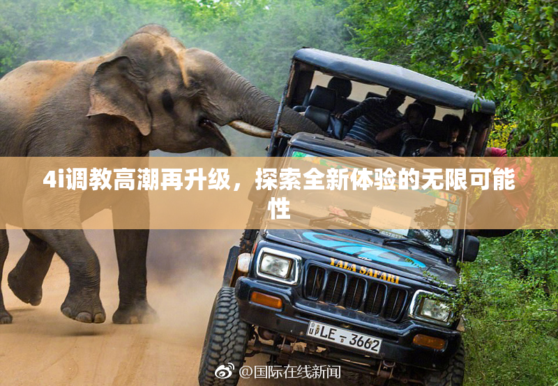 4i调教高潮再升级，探索全新体验的无限可能性