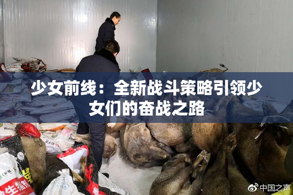 少女前线：全新战斗策略引领少女们的奋战之路