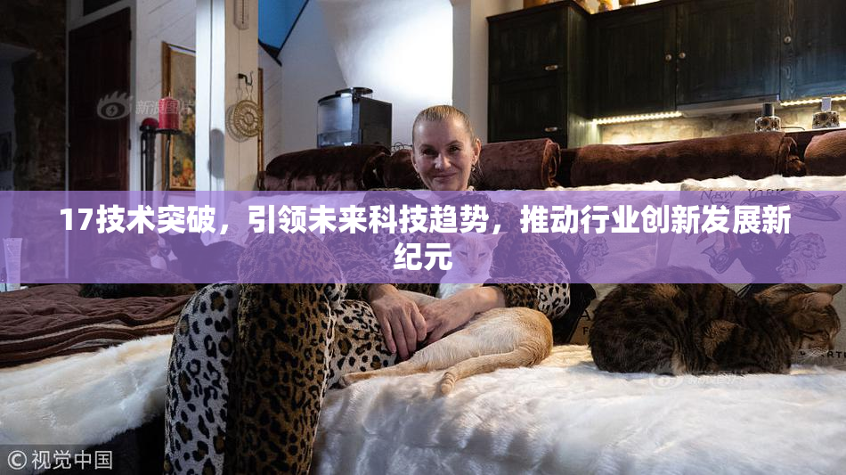 17技术突破，引领未来科技趋势，推动行业创新发展新纪元