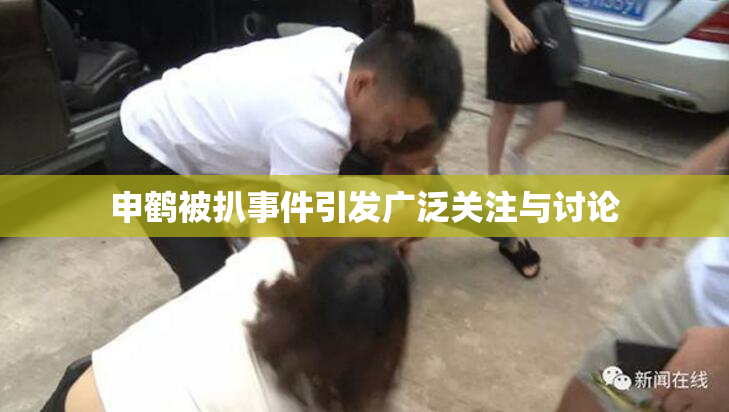 申鹤被扒事件引发广泛关注与讨论