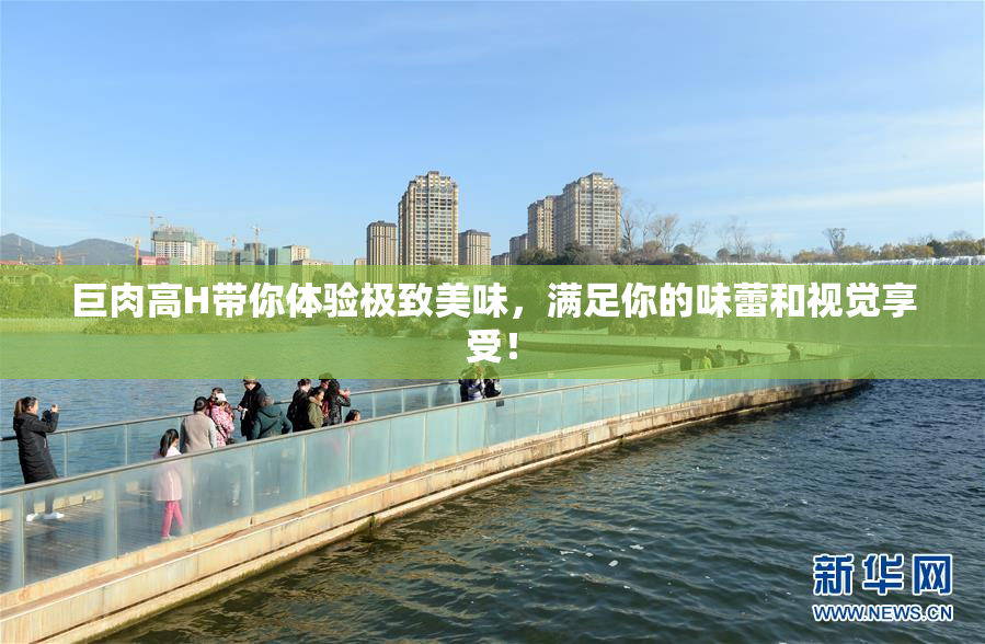 巨肉高H带你体验极致美味，满足你的味蕾和视觉享受！