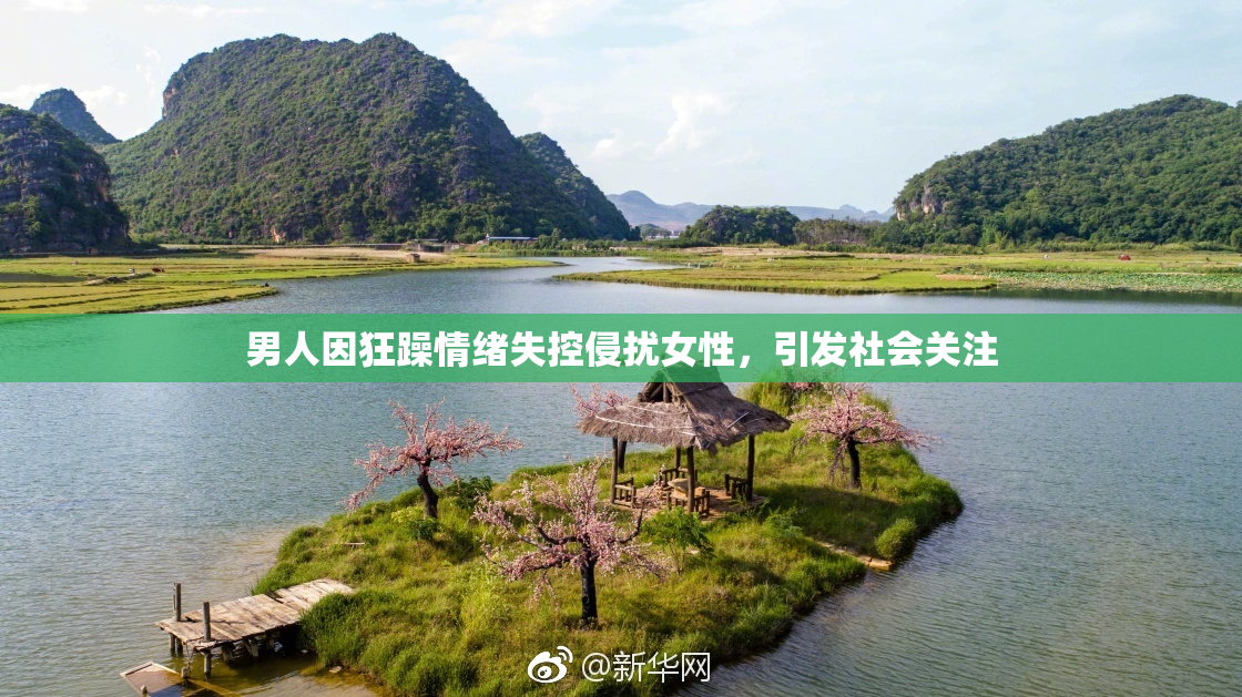 男人因狂躁情绪失控侵扰女性，引发社会关注