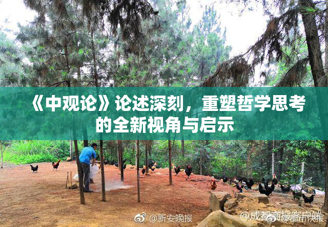 《中观论》论述深刻，重塑哲学思考的全新视角与启示