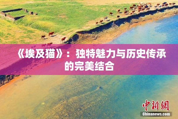 《埃及猫》：独特魅力与历史传承的完美结合