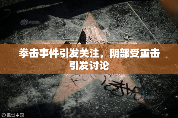 拳击事件引发关注，阴部受重击引发讨论