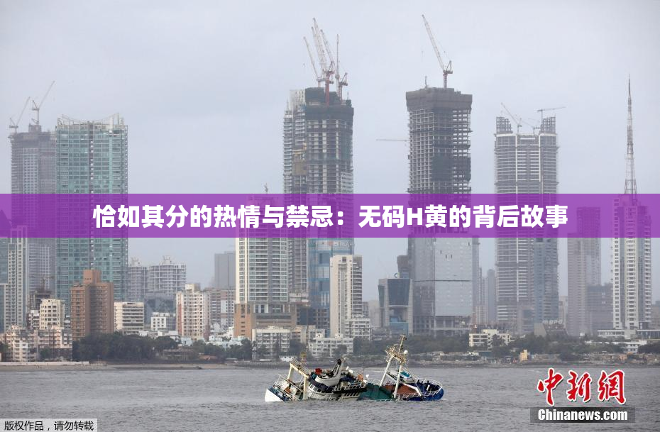 恰如其分的热情与禁忌：无码H黄的背后故事