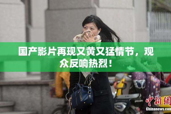 国产影片再现又黄又猛情节，观众反响热烈！