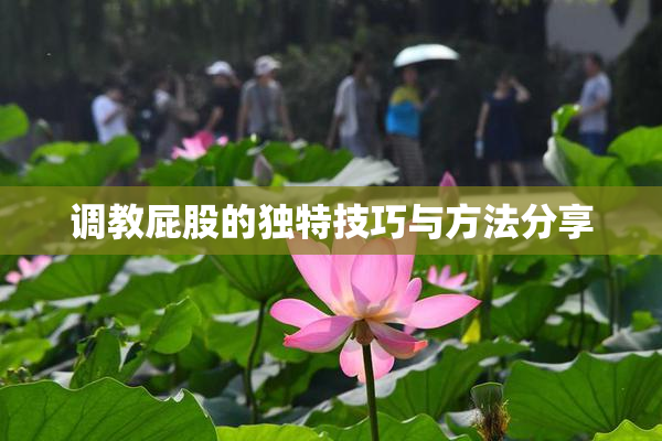 调教屁股的独特技巧与方法分享