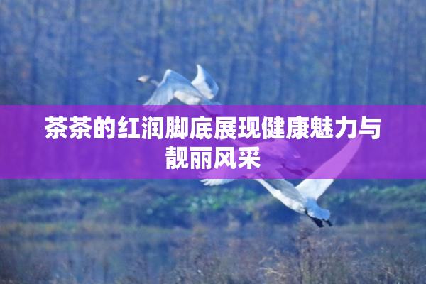 茶茶的红润脚底展现健康魅力与靓丽风采