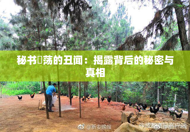 秘书婬荡的丑闻：揭露背后的秘密与真相