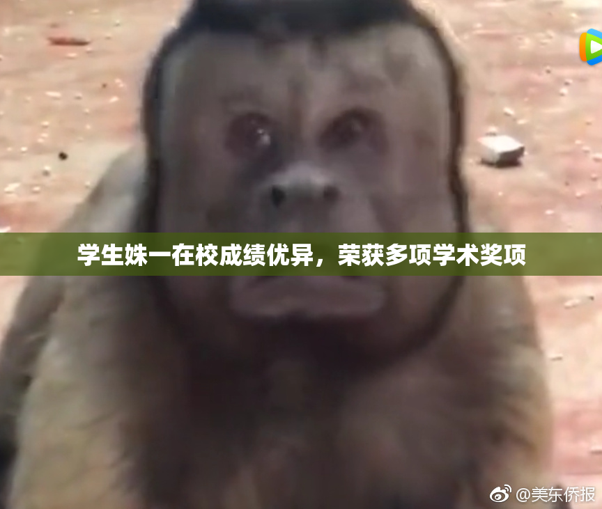 学生姝一在校成绩优异，荣获多项学术奖项