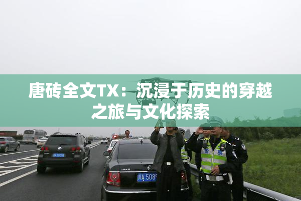 唐砖全文TX：沉浸于历史的穿越之旅与文化探索