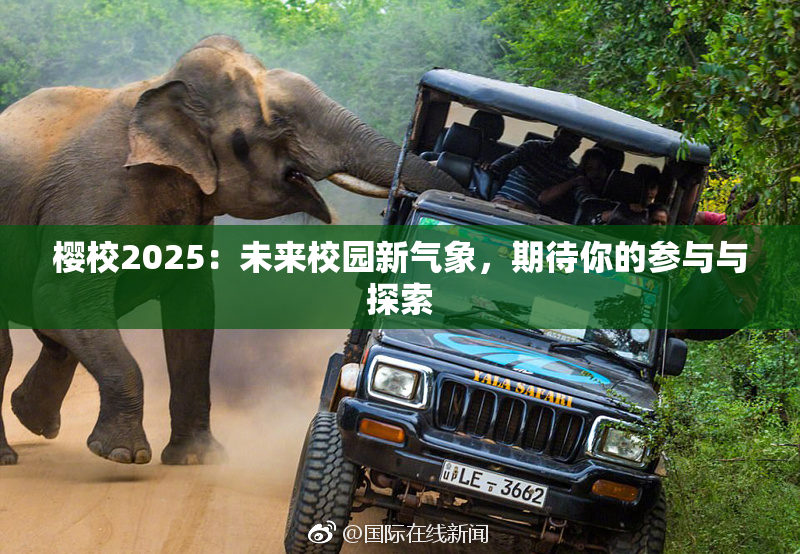 樱校2025：未来校园新气象，期待你的参与与探索