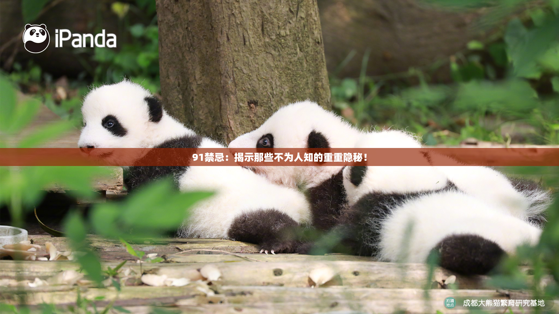 91禁忌：揭示那些不为人知的重重隐秘！