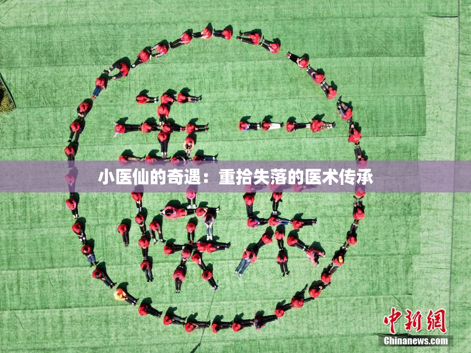 小医仙的奇遇：重拾失落的医术传承