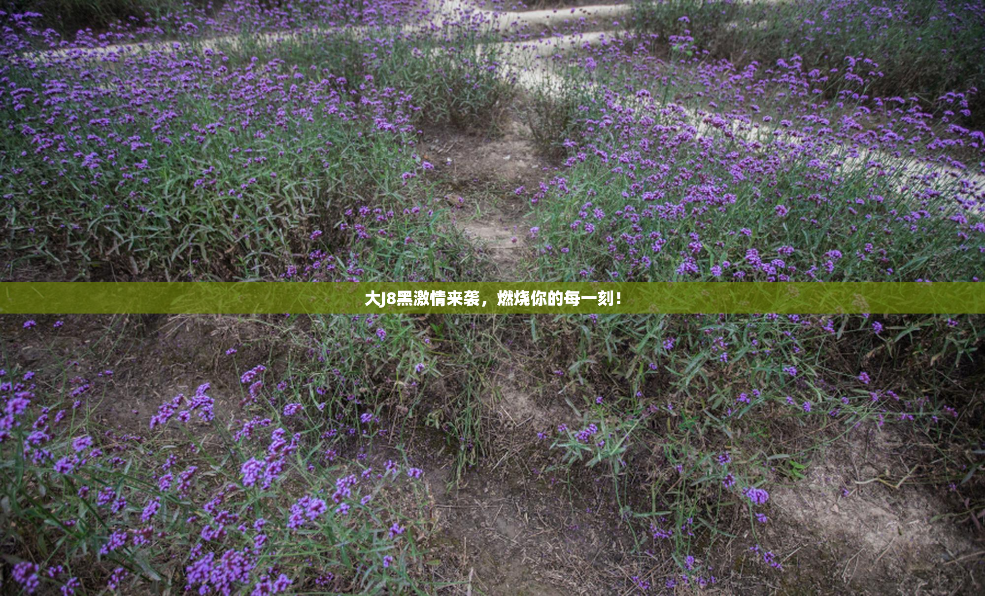 大J8黑激情来袭，燃烧你的每一刻！