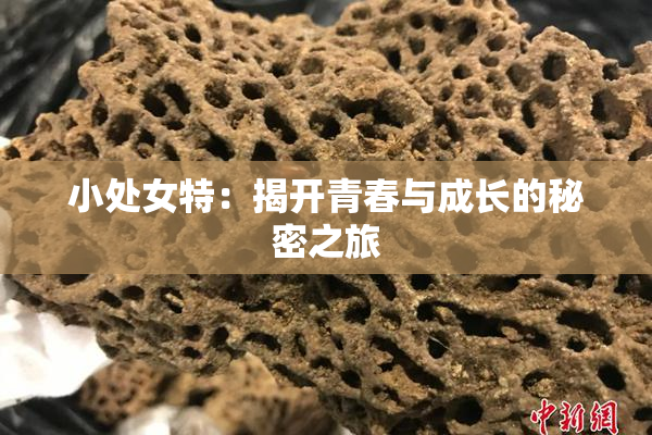 小处女特：揭开青春与成长的秘密之旅