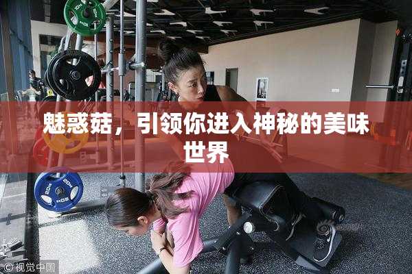 魅惑菇，引领你进入神秘的美味世界