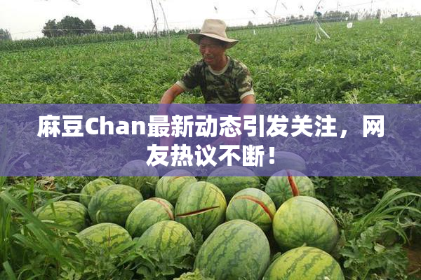 麻豆Chan最新动态引发关注，网友热议不断！