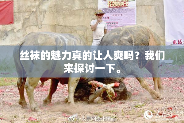 丝袜的魅力真的让人爽吗？我们来探讨一下。