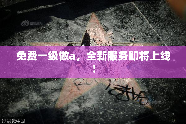 免费一级做a，全新服务即将上线！