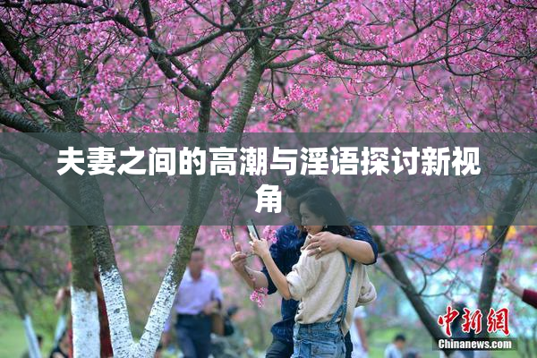 夫妻之间的高潮与淫语探讨新视角