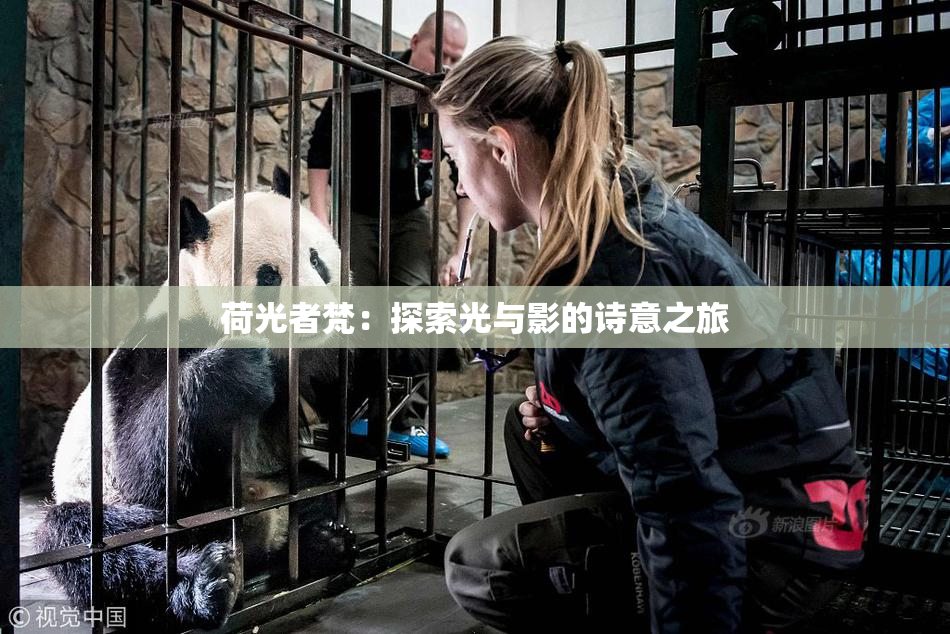 荷光者梵：探索光与影的诗意之旅