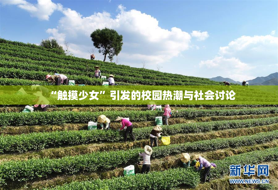 “触摸少女”引发的校园热潮与社会讨论