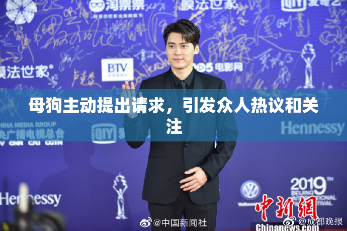 母狗主动提出请求，引发众人热议和关注