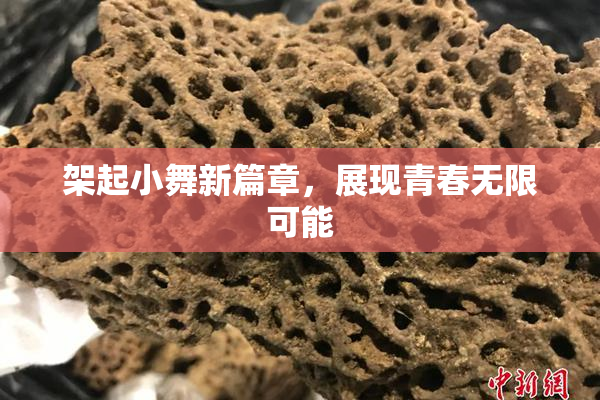架起小舞新篇章，展现青春无限可能