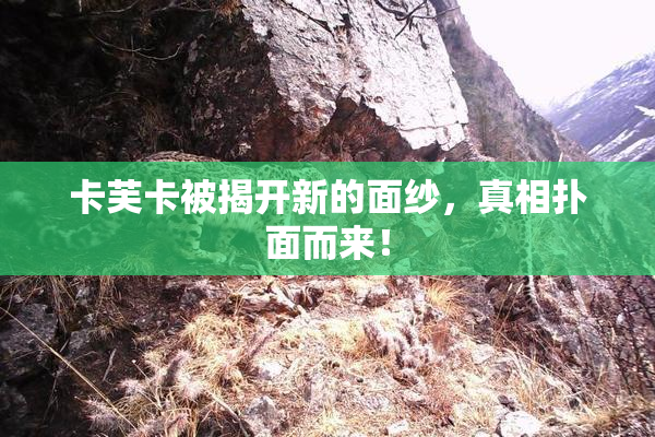 卡芙卡被揭开新的面纱，真相扑面而来！