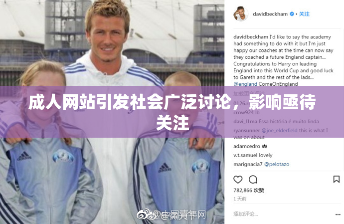 成人网站引发社会广泛讨论，影响亟待关注
