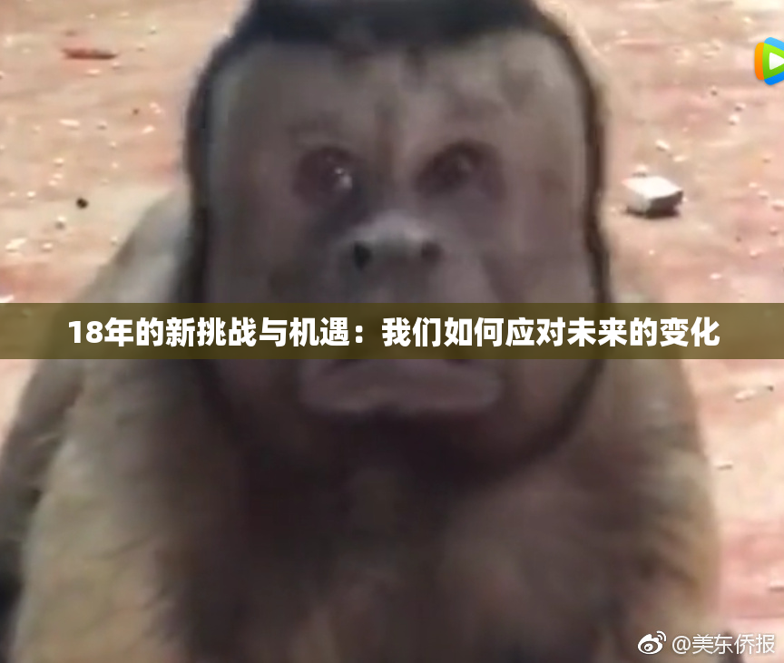 18年的新挑战与机遇：我们如何应对未来的变化