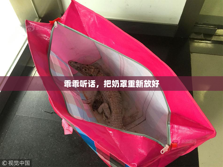 乖乖听话，把奶罩重新放好