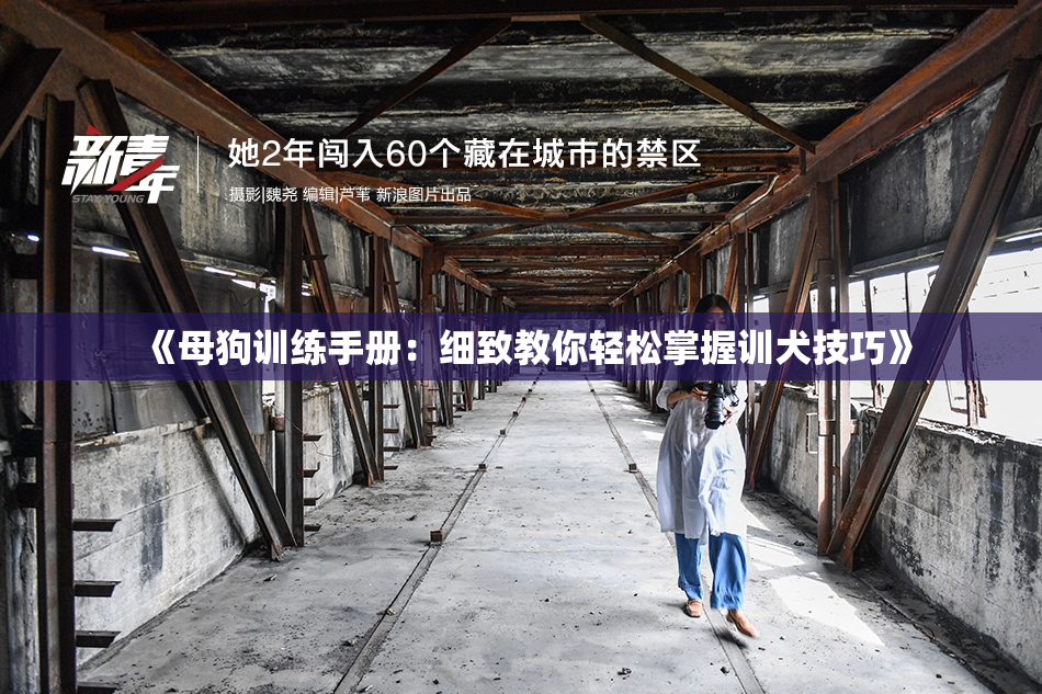 《母狗训练手册：细致教你轻松掌握训犬技巧》