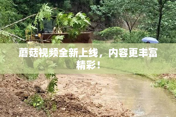 蘑菇视频全新上线，内容更丰富精彩！