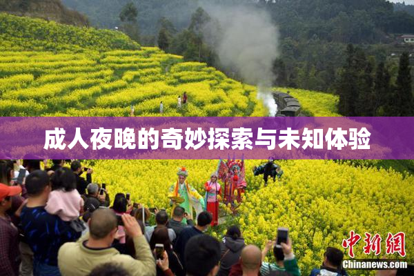 成人夜晚的奇妙探索与未知体验