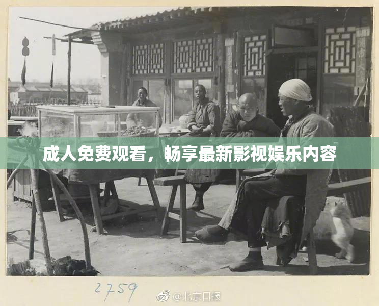 成人免费观看，畅享最新影视娱乐内容