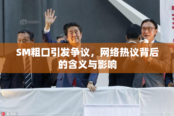 SM粗口引发争议，网络热议背后的含义与影响