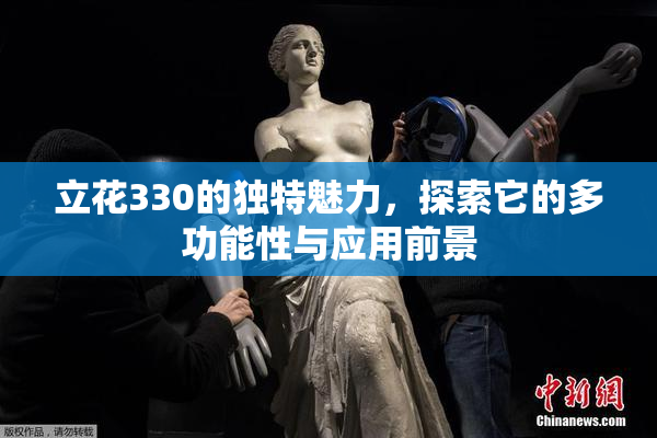立花330的独特魅力，探索它的多功能性与应用前景