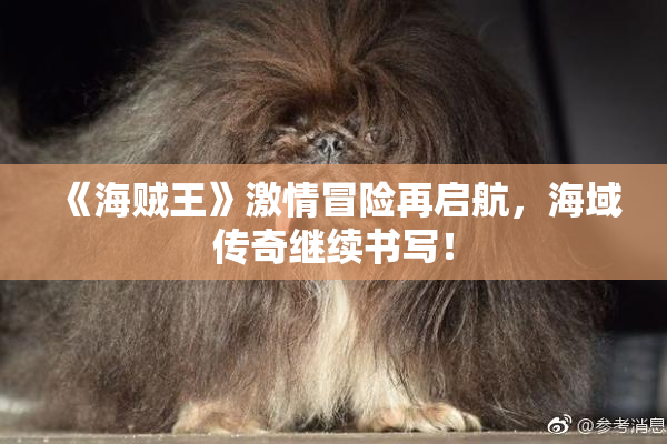 《海贼王》激情冒险再启航，海域传奇继续书写！