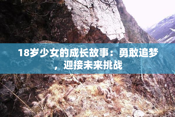 18岁少女的成长故事：勇敢追梦，迎接未来挑战